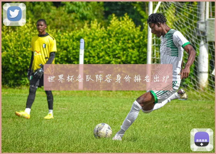 世界杯各队阵容身价排名出炉