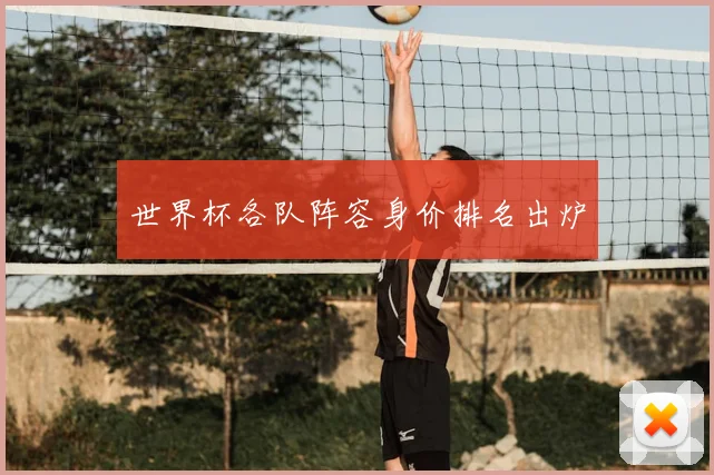 世界杯各队阵容身价排名出炉