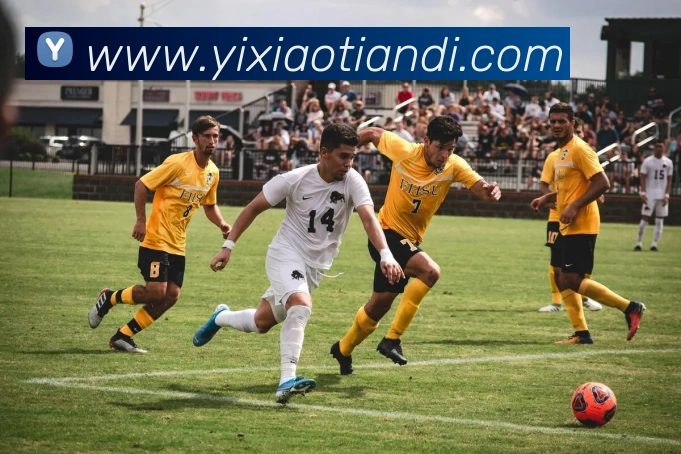 mksports官网平台生态图